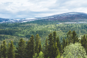 view of snowy mountains and forest