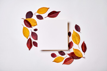 Autumn composition. Frame made of blank paper and leaves on white background. Fall concept. Autumn thanksgiving texture. Flat lay, top view, copy space