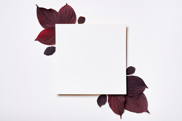 Autumn composition. Frame made of blank paper and leaves on white background. Fall concept. Autumn thanksgiving texture. Flat lay, top view, copy space