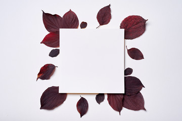 Autumn composition. Frame made of blank paper and leaves on white background. Fall concept. Autumn thanksgiving texture. Flat lay, top view, copy space