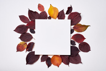 Autumn composition. Frame made of blank paper and leaves on white background. Fall concept. Autumn thanksgiving texture. Flat lay, top view, copy space