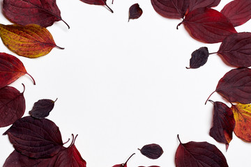 Autumn composition. Wreath frame made of leaves on white background. Fall concept. Autumn thanksgiving texture. Flat lay, top view, copy space