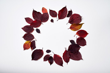 Autumn composition. Wreath frame made of leaves on white background. Fall concept. Autumn thanksgiving texture. Flat lay, top view, copy space