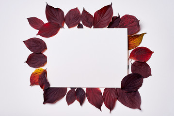 Autumn composition. Frame made of blank paper and leaves on white background. Fall concept. Autumn thanksgiving texture. Flat lay, top view, copy space