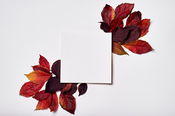 Autumn composition. Frame made of blank paper and leaves on white background. Fall concept. Autumn thanksgiving texture. Flat lay, top view, copy space