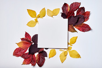 Autumn composition. Frame made of blank paper and leaves on white background. Fall concept. Autumn thanksgiving texture. Flat lay, top view, copy space