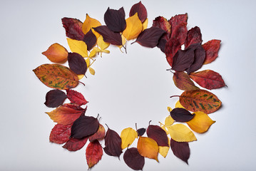 Autumn composition. Wreath frame made of leaves on white background. Fall concept. Autumn thanksgiving texture. Flat lay, top view, copy space