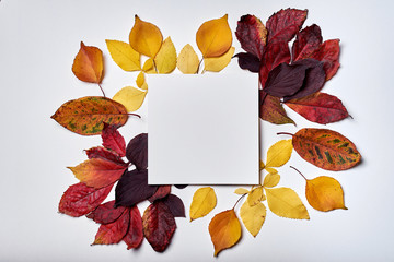 Autumn composition. Frame made of blank paper and leaves on white background. Fall concept. Autumn thanksgiving texture. Flat lay, top view, copy space