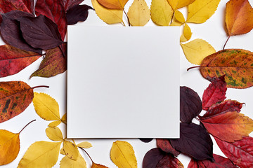 Autumn composition. Frame made of blank paper and leaves on white background. Fall concept. Autumn...