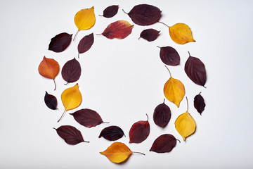 Autumn composition. Wreath frame made of leaves on white background. Fall concept. Autumn thanksgiving texture. Flat lay, top view, copy space