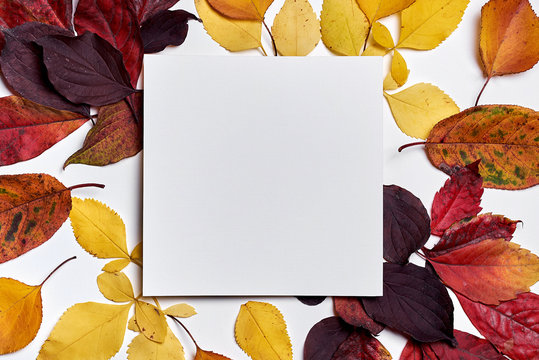 Autumn composition. Frame made of blank paper and leaves on white background. Fall concept. Autumn thanksgiving texture. Flat lay, top view, copy space