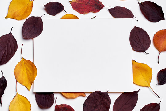 Autumn composition. Frame made of blank paper and leaves on white background. Fall concept. Autumn thanksgiving texture. Flat lay, top view, copy space