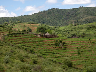 Fototapeta na wymiar Beautiful hilly landscape in southern Ethiopia