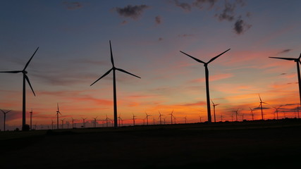 sunset over electric windmills