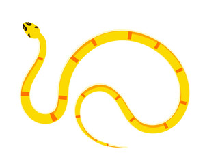 Snake Isolated on White Background, Great for book education, tattoo, sticker and design element! 