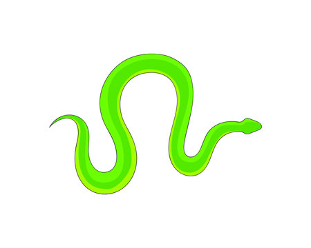 Snake Isolated on White Background, Great for book education, tattoo, sticker and design element! 