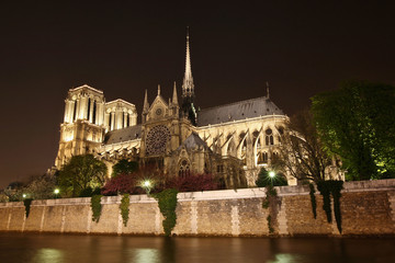 Fototapeta na wymiar Notre Dame iluminado de noche