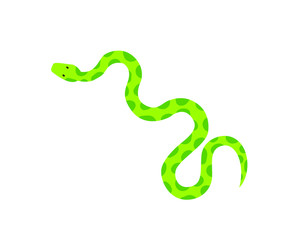 Naklejka premium Snake Isolated on White Background, Great for book education, tattoo, sticker and design element! 