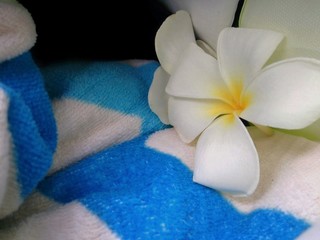 Fototapeta na wymiar towels and flowers
