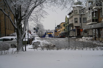 Fototapeta premium Winter