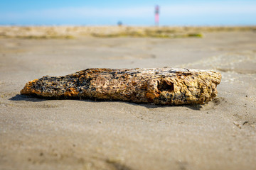 Altes Stück Holz am Strand
