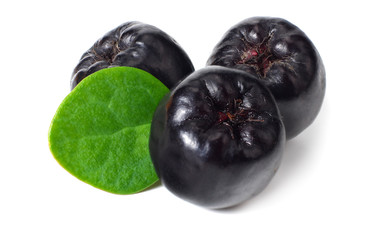 Chokeberry with green leaves isolated on white background. Black aronia