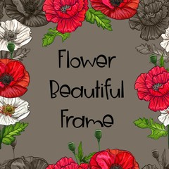 Poppy flower beautiful frame-vector