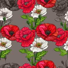 Poppy flower seamless pattern-vector