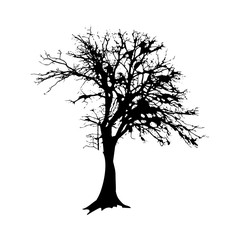 Black tree silhouette isolated on white background