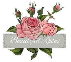 Pink rose vintage