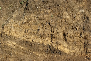 Earth cross section from pants down to rock