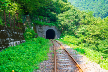 レールマウンテンバイク ガッタンゴー トンネルの風景(渓谷コース)
