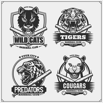 Set of baseball emblems, badges, logos and labels with tiger, cougar and wildcat. Print design for t-shirt.