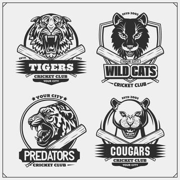 Set of cricket emblems, badges, logos and labels with tiger, cougar and wildcat. Print design for t-shirt.