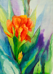 Watercolor original painting on paper of canna lily.