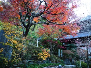 Kamakura, a little Kyoto in Kanagawa, Japan