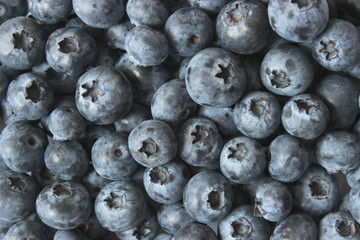 Background from fresh blueberries to the whole frame.