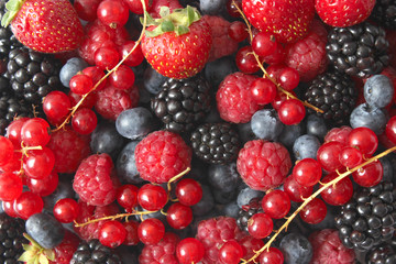 Background from a set of different berries. Blueberries, raspberries, strawberries, blackberries, currants
