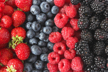 Background from a set of different berries. Blueberries, raspberries, strawberries, blackberries, currants