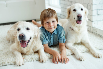 A child with a dog. Little boy with a dog at home. 