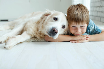 A child with a dog. Little boy with a dog at home.  - 283905669