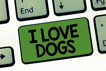 Text sign showing I Love Dogs. Conceptual photo Have good feelings towards canines To like pets animals.