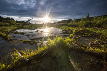 The last rays of Sun on the Swamp