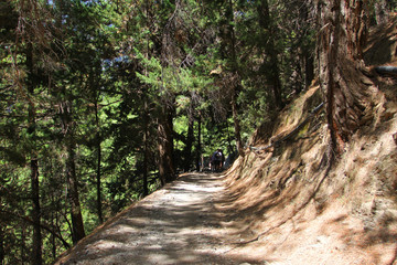Samaria Gorge National Park, Crete, Greece.