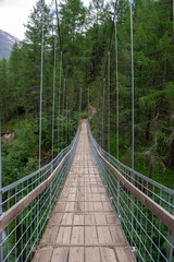 Suspension bridge in the woods