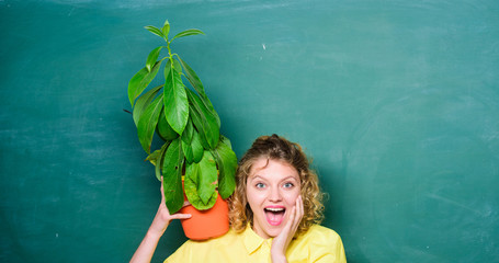 Floral shop. Botany is about plants flowers and herbs. Home garden. Houseplants benefits and...