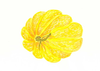 Gouache drawing: Big yellow melon.