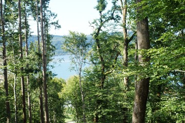 Fototapeta premium Bodman at the Lake Constance in summer