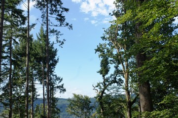 Bodman at the Lake Constance in summer