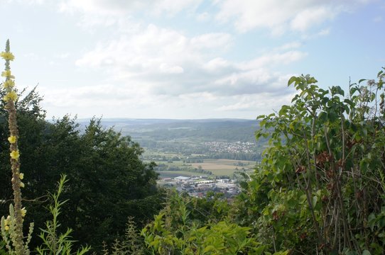 landscape with trees and blue sky in the Hegau Engen